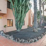 Oasis Duna Casa Maho Коральео